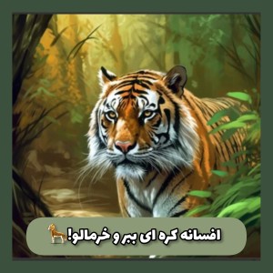 عکس افسانه کره ای ببر و خرمالو!