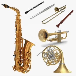 معرفی ساز های بادی