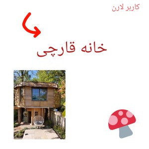 تست خانه شبیه به قارچ !