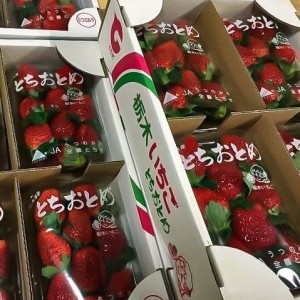 معروفترین نقاشی ها؛