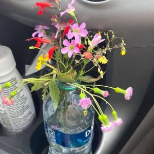 من آهنگای خارجی گوش نمیدم چون نمیفهمم چی میگنp²