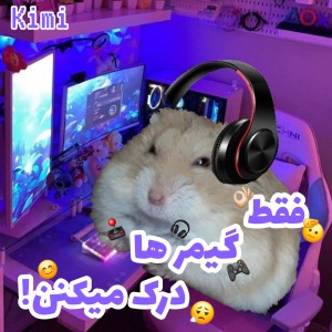 عکس فقط گیمر ها درک میکنن!🎮