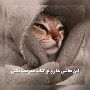 عکس این نقاشی ها رو تو کتاب مدرست بکش