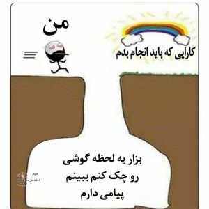 عکس میم ۲