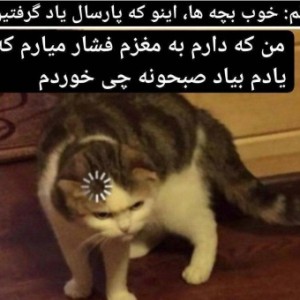 عکس میم از مدرسه