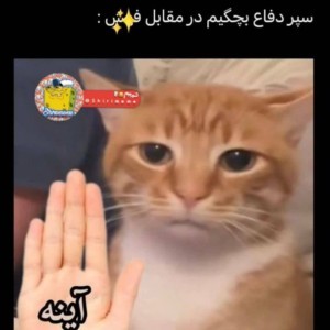 عکس طنز 6