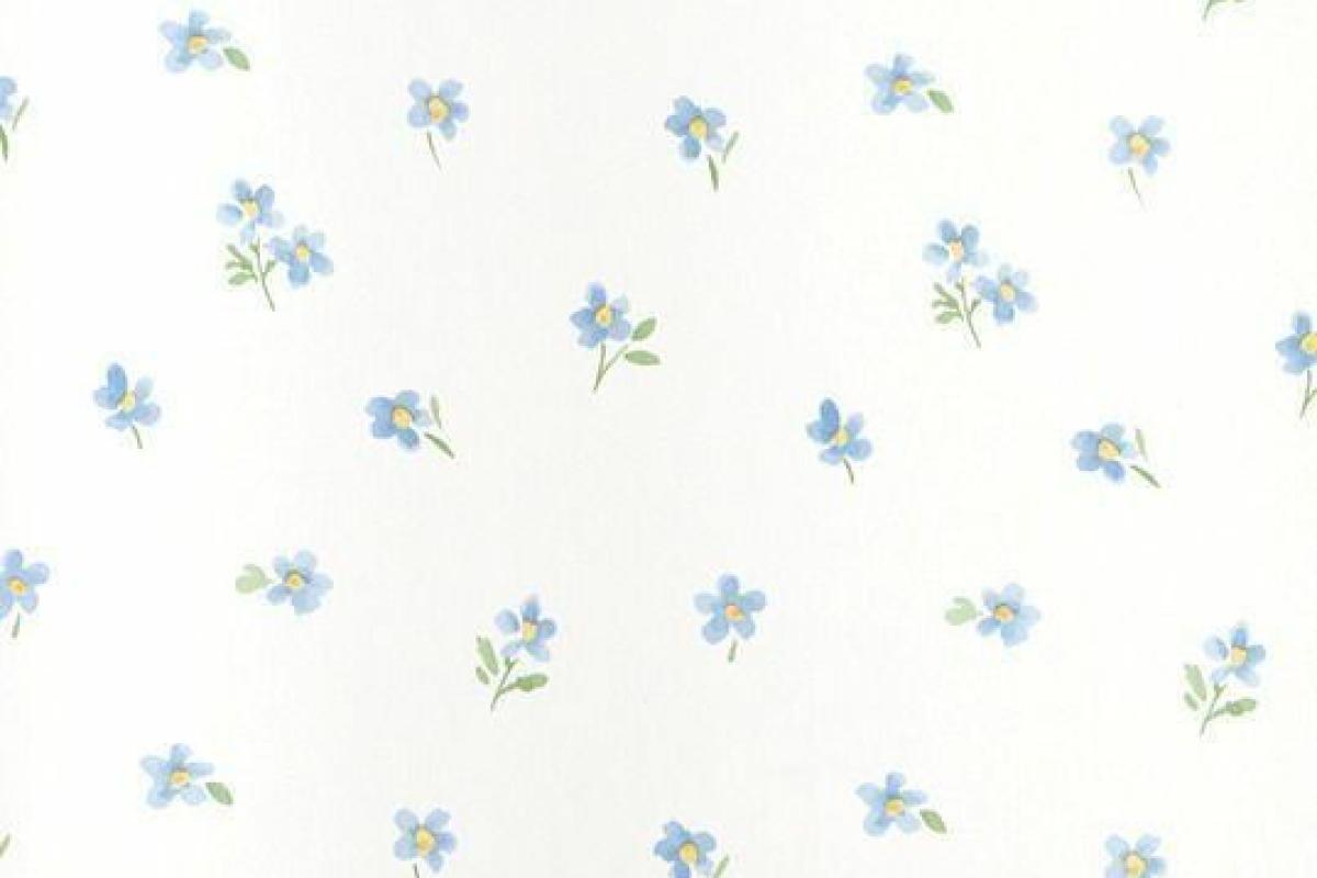 عکس کفش های تینیجری !