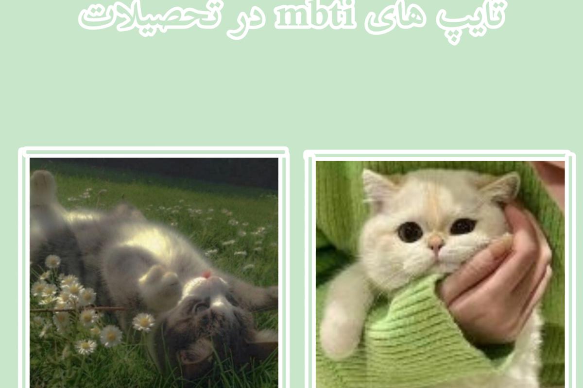 عکس تایپ های mbti و تحصیلات