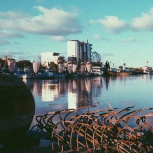 کاور