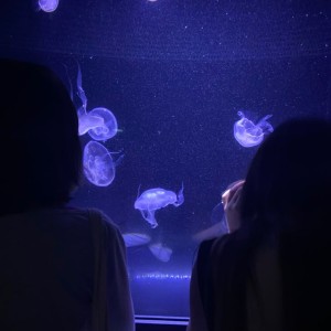 رفیق یعنی چی...؟