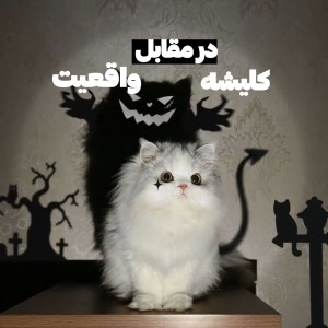 تایپ های ام‌بی‌تی‌ای توی کلیشه و واقعیت