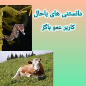 عکس دانستنی های جالب!