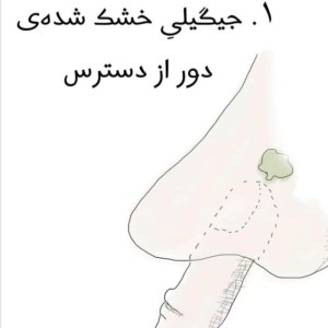 عکس رو مخ ترین چیز ها