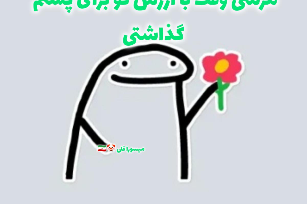 عکس میم میم میم🇮🇷