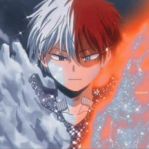 چقدر تودوروکی شوتو رو میشناسی؟