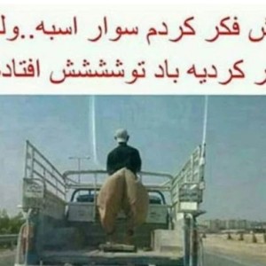 عکس میم با طعم گیلاس