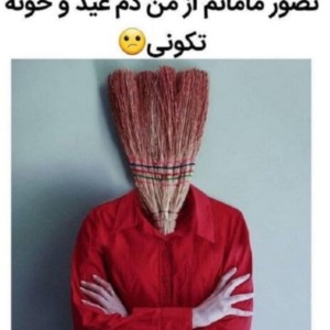 عکس طنز با طعم قرمه سبزی