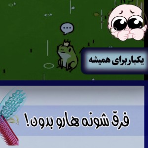 عکس انواع شانه ها