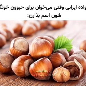 عکس ° میم ۱۱ °