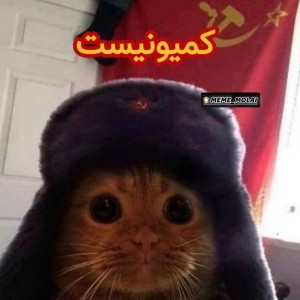 عکس میمعلی ۳۴