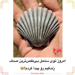 عکس چیزای جالب ۲۸