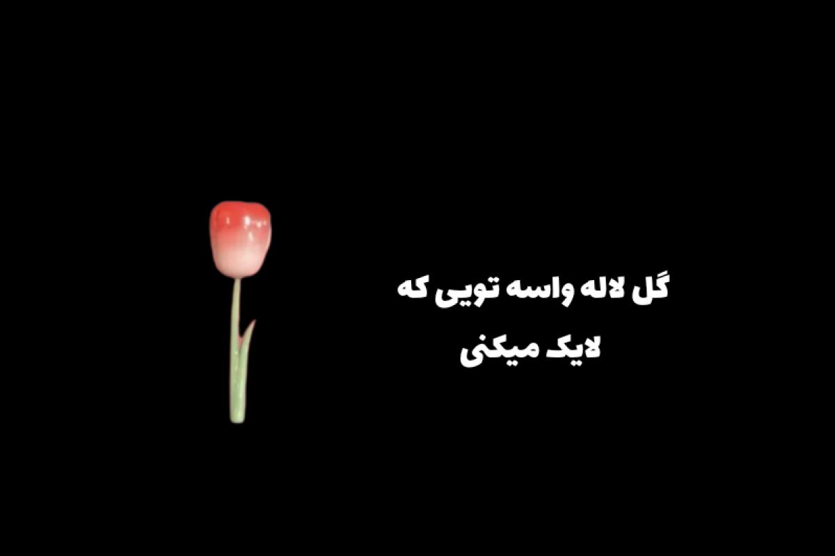 عکس ˒ملودی متروکه˓