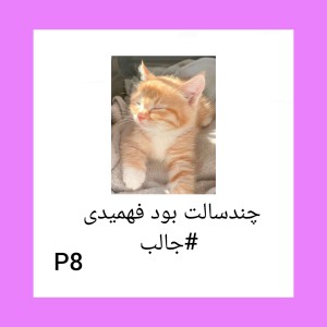 تست چندسالت بود فهمیدی p8