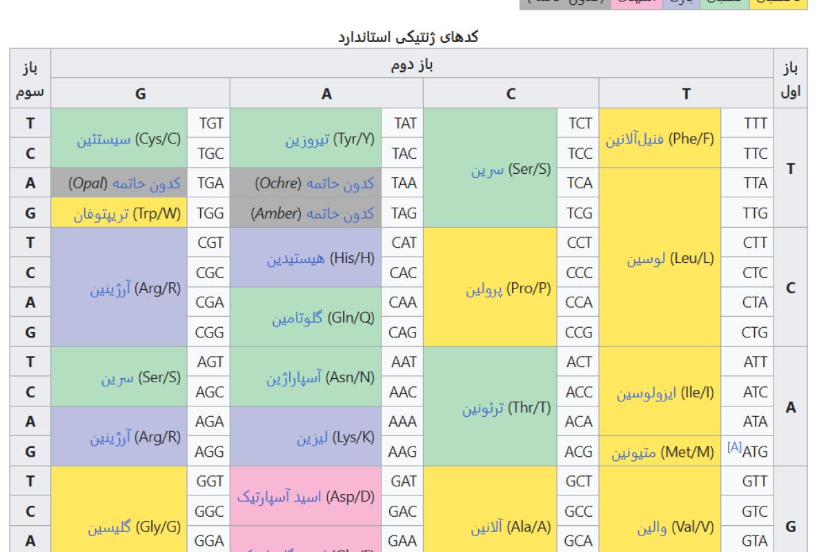 عکس انسان ها کد نویسی هستند!؟