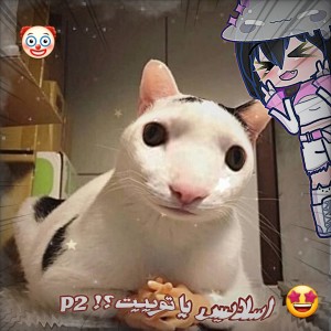 کاور