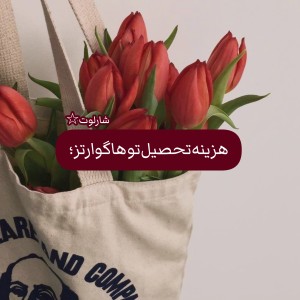 عکس هزینه‌تحصیل‌توهاگوارتز