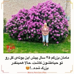 عکس چیز های جالب