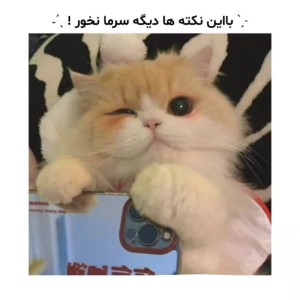 عکس با این نکته ها دیگه سرما نخور!★