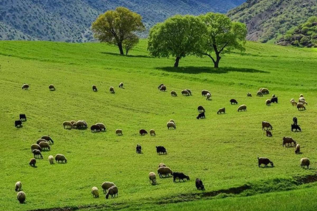 عکس بهشتی به نام ایران