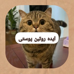 ایده روتین پوستی