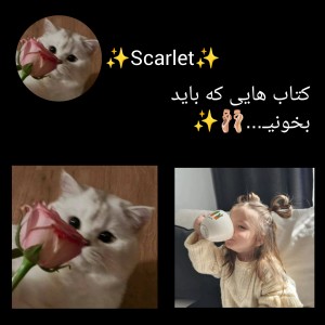 عکس کتاب هایی که باید بخونی✨