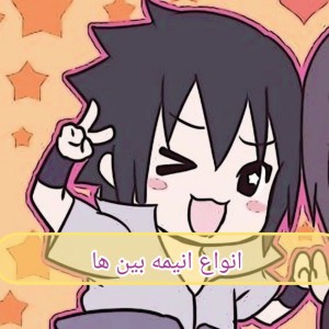 انواع انیمه بین ها