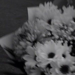 چه خبر است؟ دارم غرق میشوم~