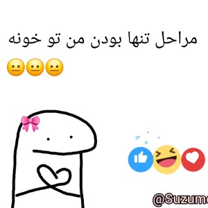 عکس مراحل تنها موندن من تو خونه