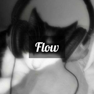 عکس شناخت حالت غرقگی یا Flow