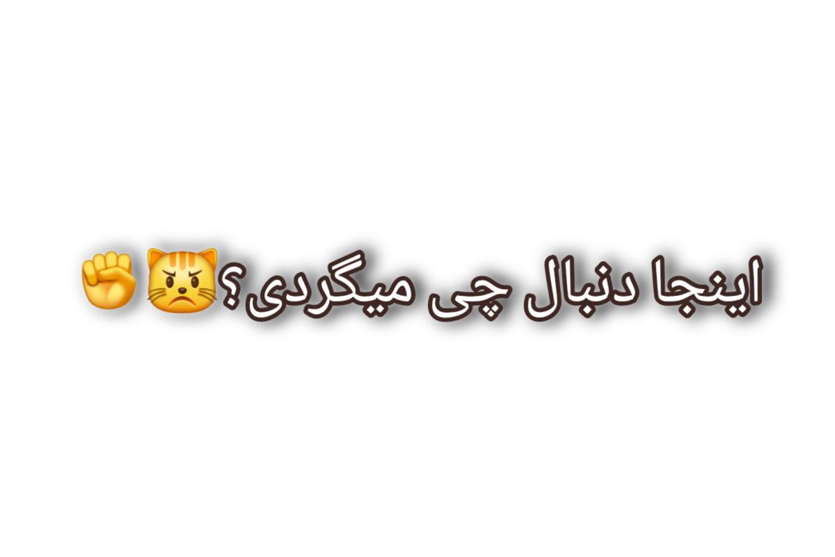 عکس واکنش صادقانه کیپاپر: