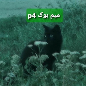 عکس میم بوک p4