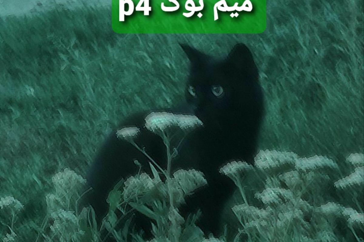 عکس میم بوک p4