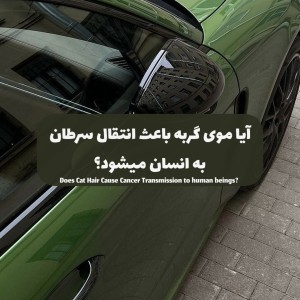 عکس آیا موی گربه باعث انتقال سرطان به انسان میشود؟