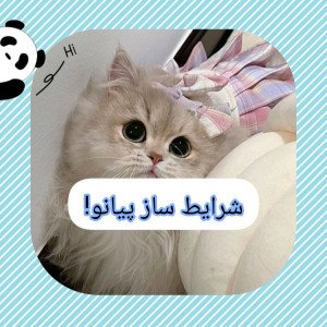 شرایط ساز پیانو!؟