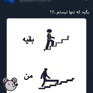 عکس میمعلی ۵۲