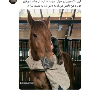 عکس میمعلی ۵۳