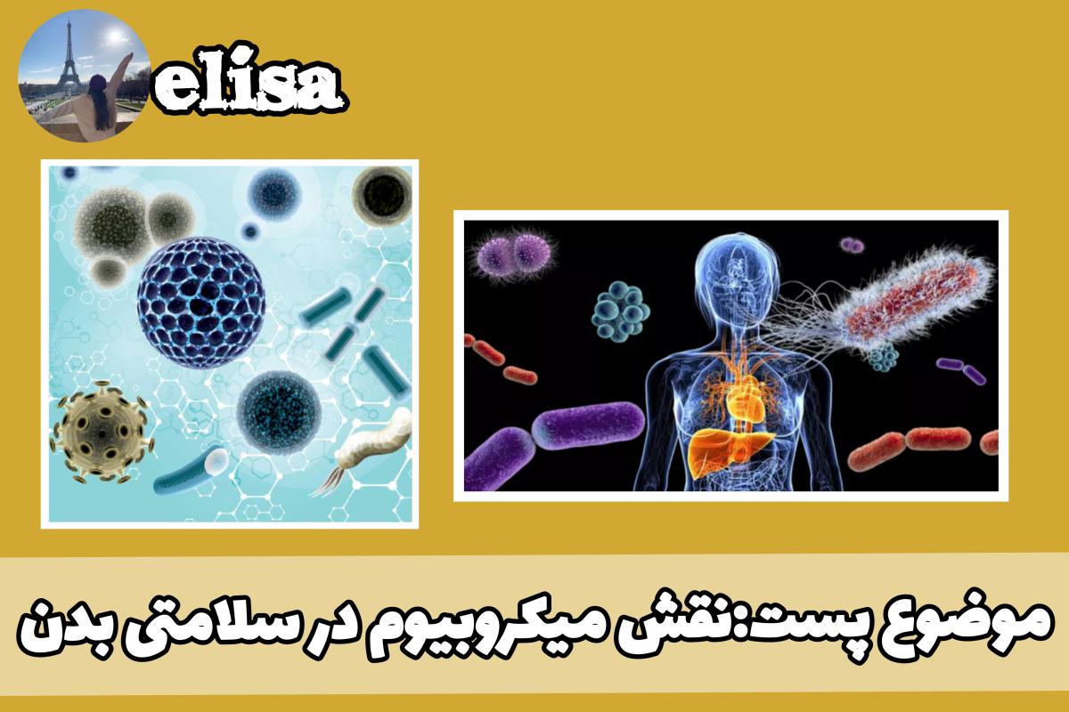 عکس نقش میکروبیوم در سلامتی بدن