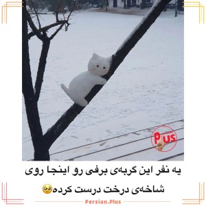 کاور