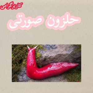 کاور