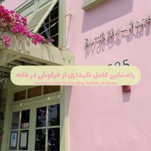 کاور